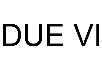 DUE VI
